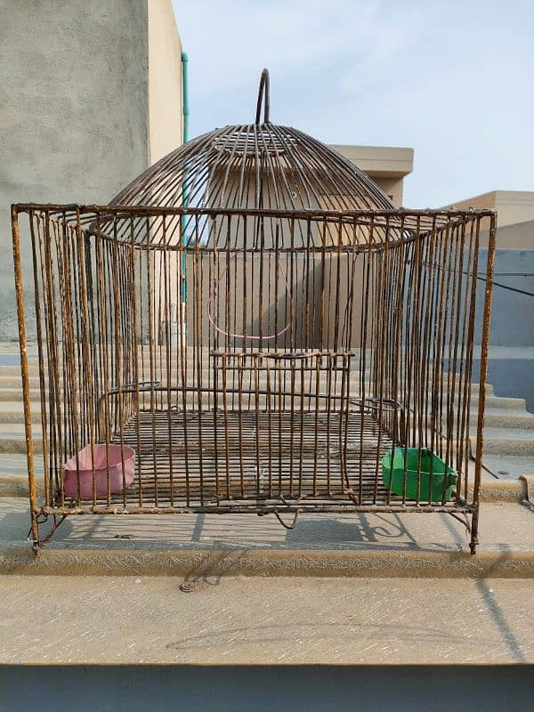 BIRD IRON CAGE 2