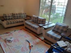 sofas, tables set, chairs (price negotiable)