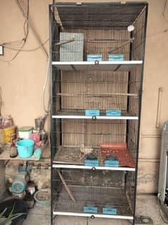 Birds Cage 6.5ft