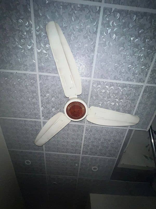 Royal Ceiling fan 1