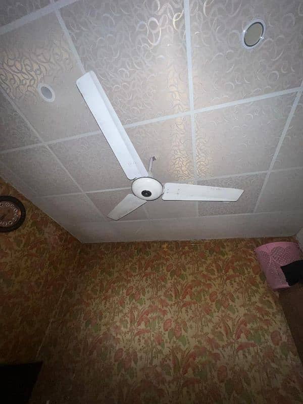 Royal Ceiling fan 2