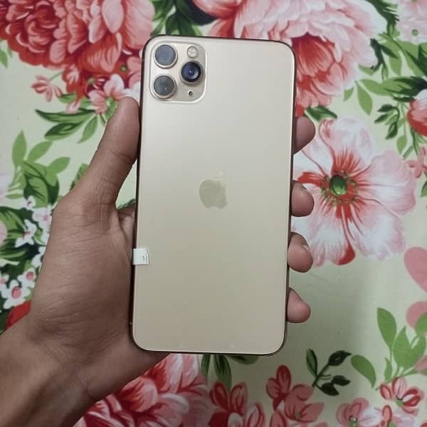 IPHONE 11 pro max panel changed 0