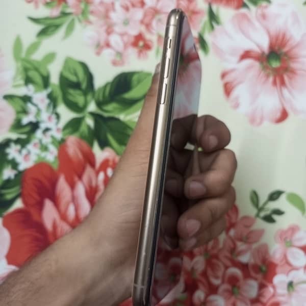 IPHONE 11 pro max panel changed 1