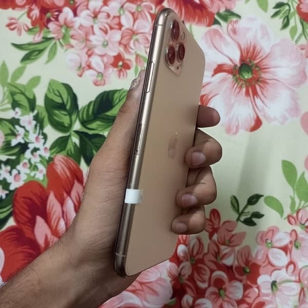 IPHONE 11 pro max panel changed 3