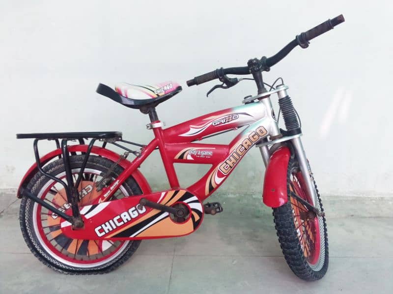 Kids Bicycle 1