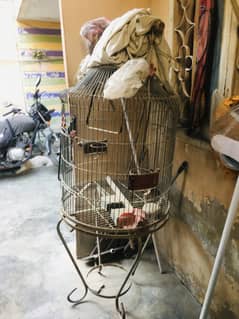 Birds cage available for sell