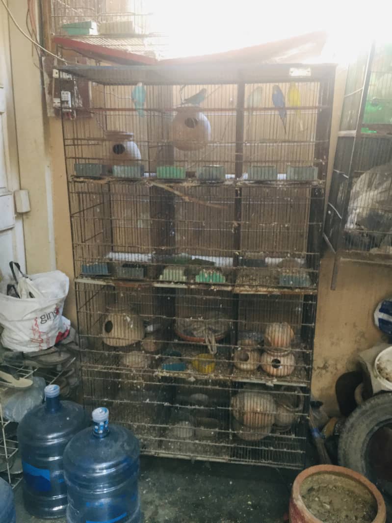 Birds cage available for sell 1