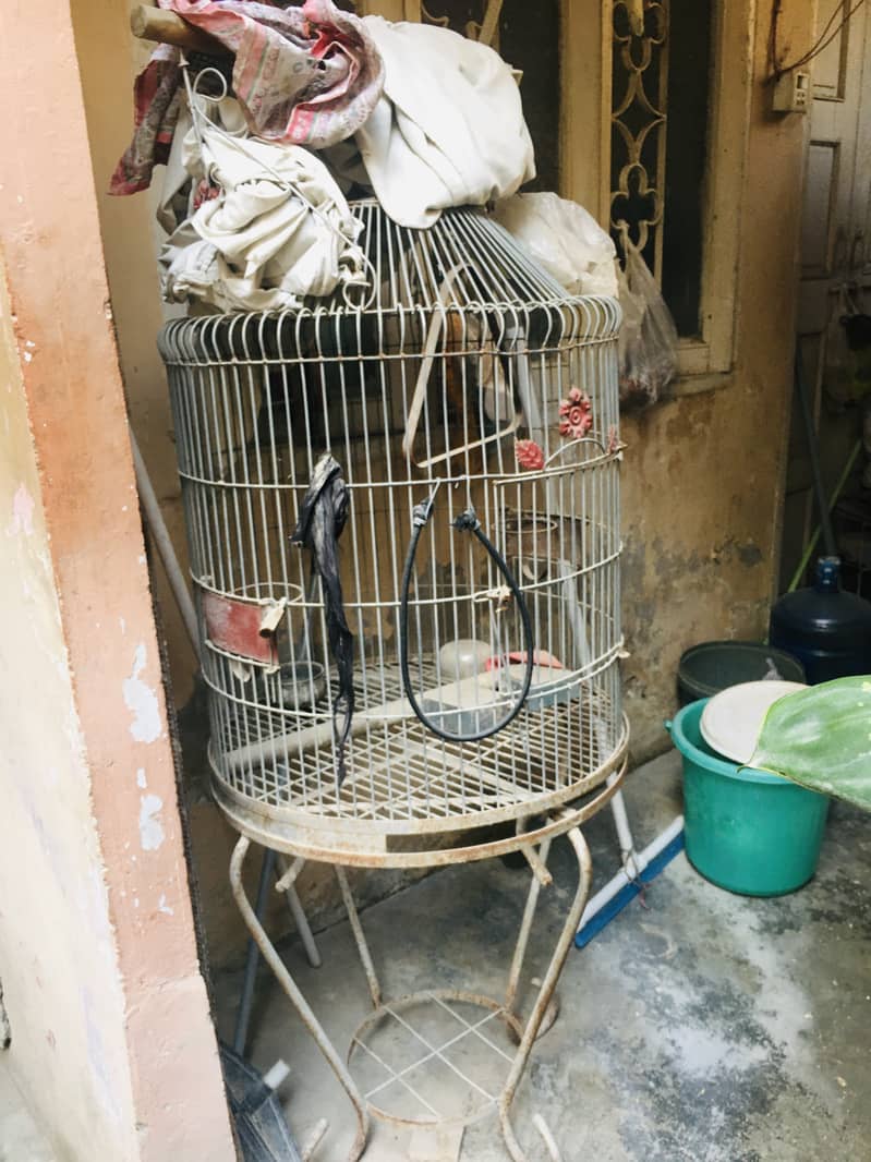 Birds cage available for sell 3