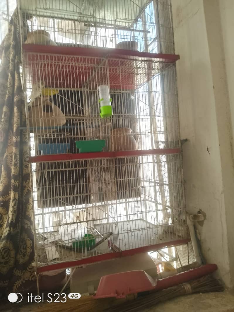 Heavy strong cage6 portiolove birds and Australian parrot ke liye best 2