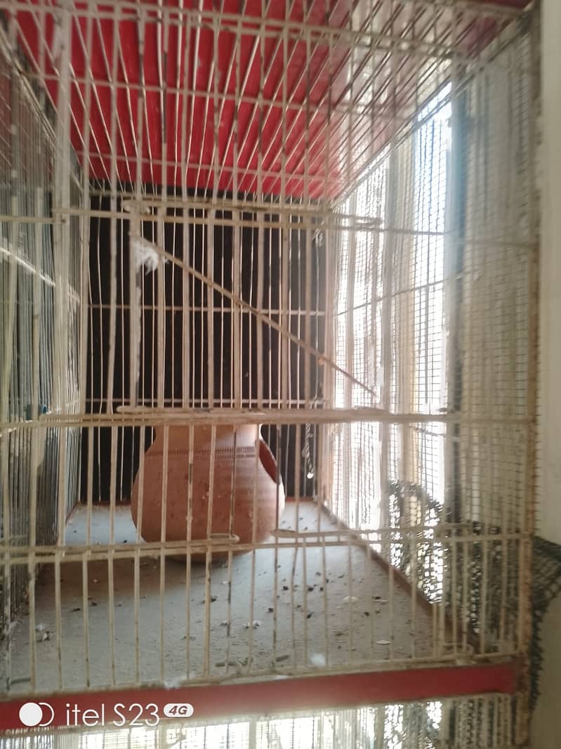 Heavy strong cage6 portiolove birds and Australian parrot ke liye best 5