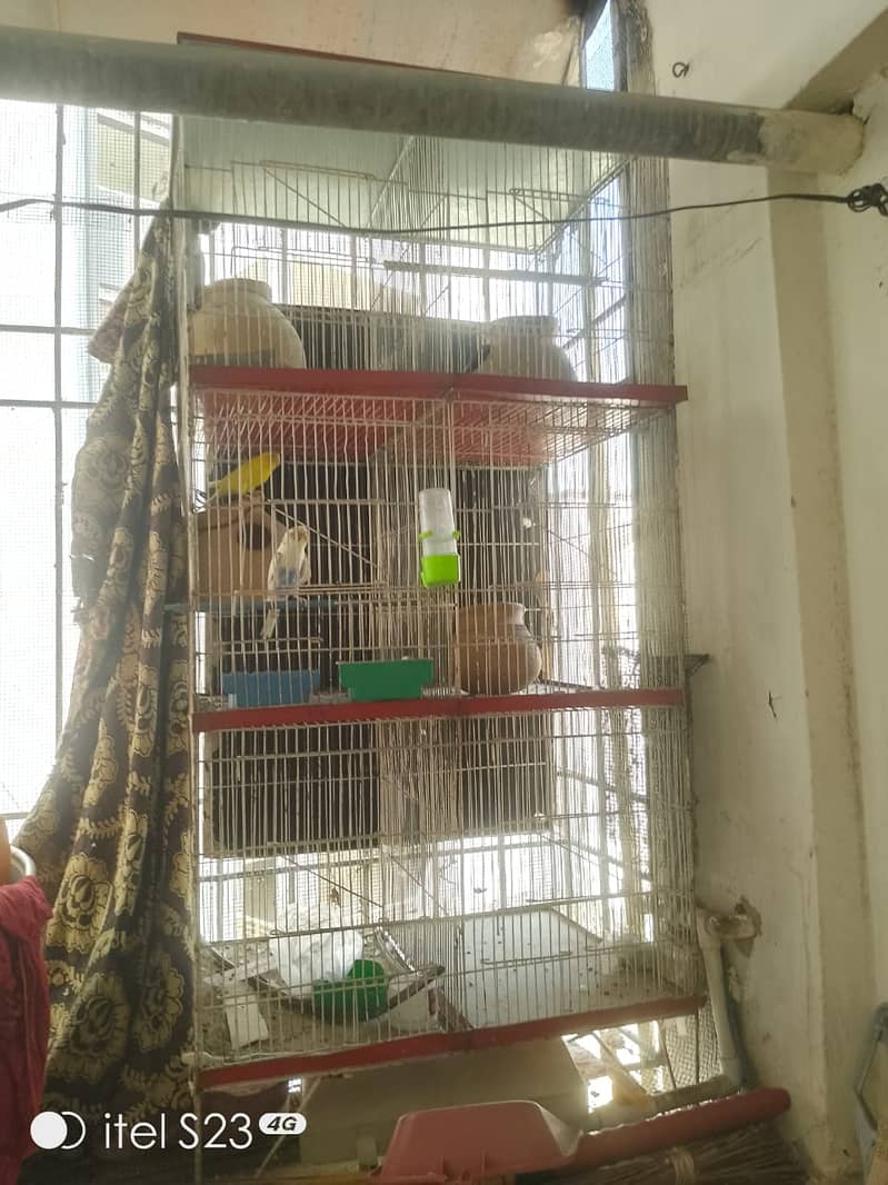 Heavy strong cage6 portiolove birds and Australian parrot ke liye best 9