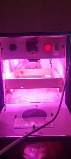 incubator for hens egg 0