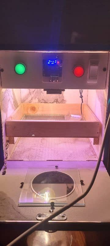 incubator for hens egg 1