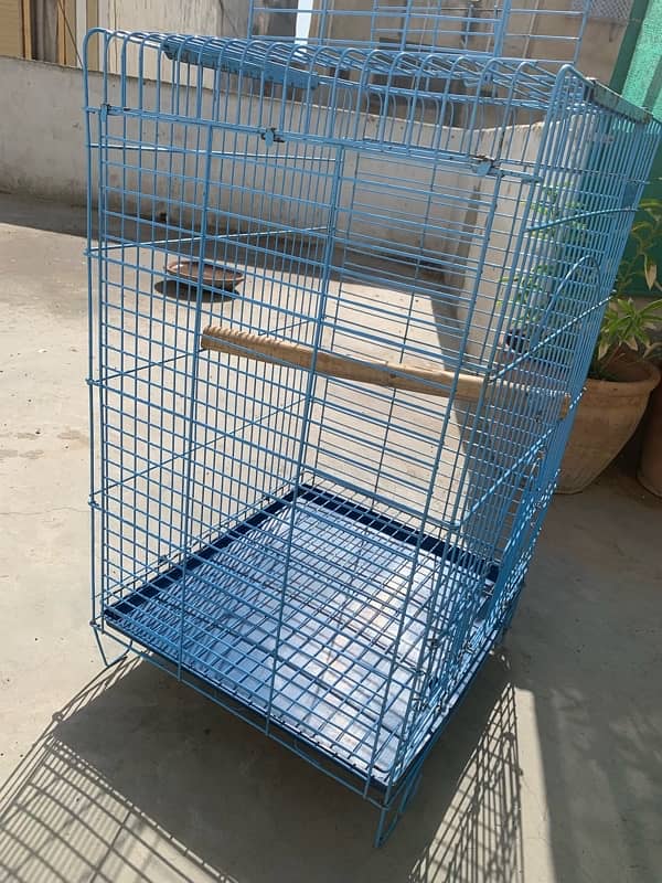 RAW PARROT / GREY PARROT CAGE FOR SALE 1