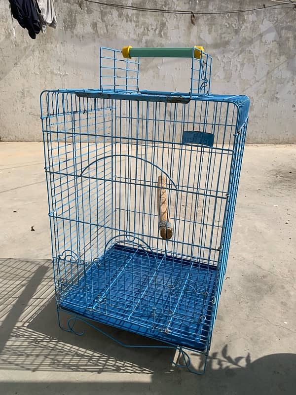 RAW PARROT / GREY PARROT CAGE FOR SALE 2