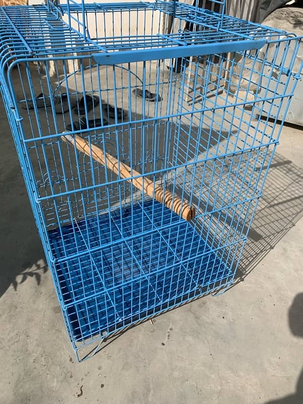 RAW PARROT / GREY PARROT CAGE FOR SALE 3