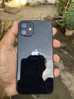 Iphone 12 (jv)