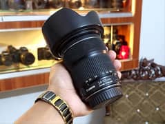 Canon 24-105mm is stm (Full-Frame/Cropl