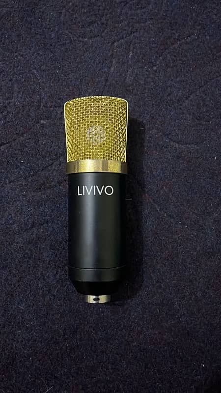 LIVIVO BM800 CONDENSER MIC 1