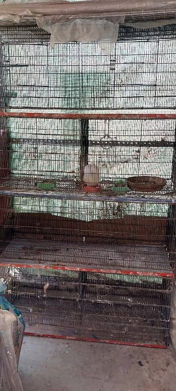 Rabbit (khargost) Accessories for sale breeding box, feeders. Cages 6