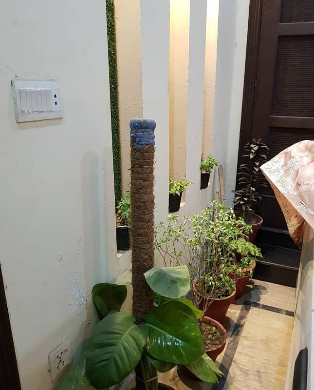 5 Marla Single Story Beautiful Self Constructed House Available For Sale At Investor Rate In New Lahore City Housing Scheme Main Canal Road Lahore 10