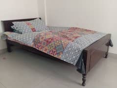 single bed sheesham without matress