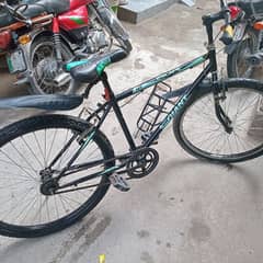 Giant Model Cycle For Sale