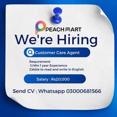 Customer Care Agent 0