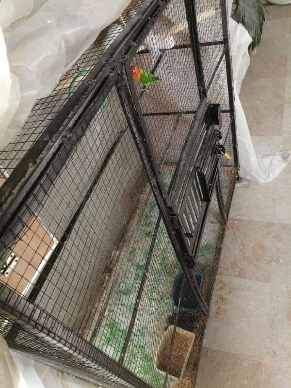 Used Cage for sale 4