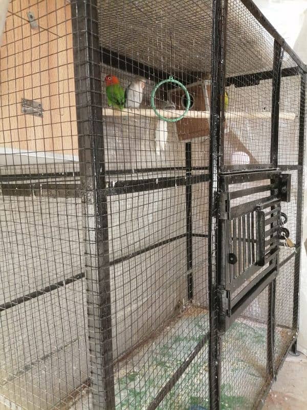 Used Cage for sale 5