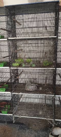 4 portion  iron cage with breeding boxes. (2.5 x 2.5 x 1.5) Size each