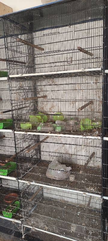 4 portion  iron cage with breeding boxes. (2.5 x 2.5 x 1.5) Size each 3