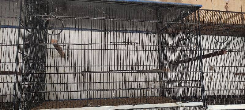 4 portion  iron cage with breeding boxes. (2.5 x 2.5 x 1.5) Size each 5