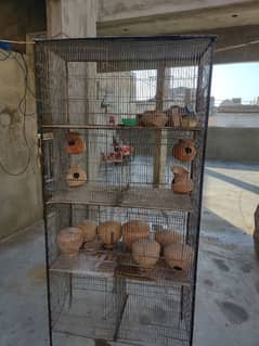 8 portion birds cage