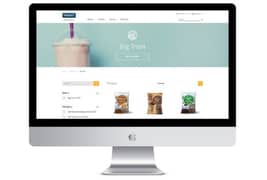 Shopify Web Designer