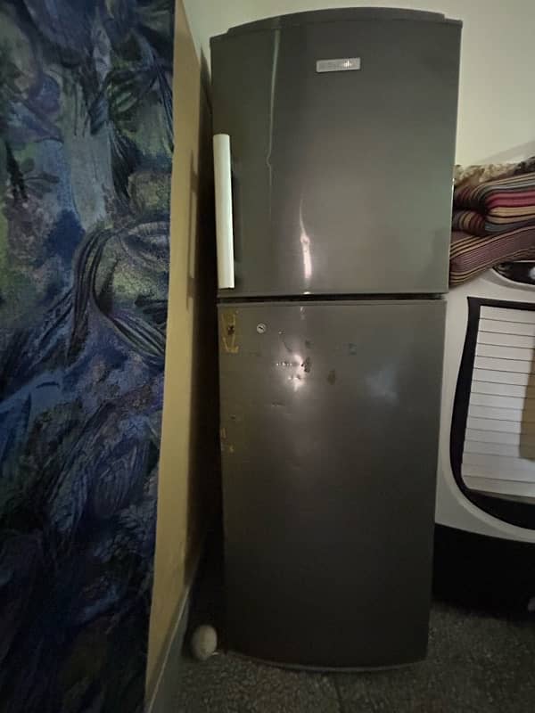 Electrolux fridge 1