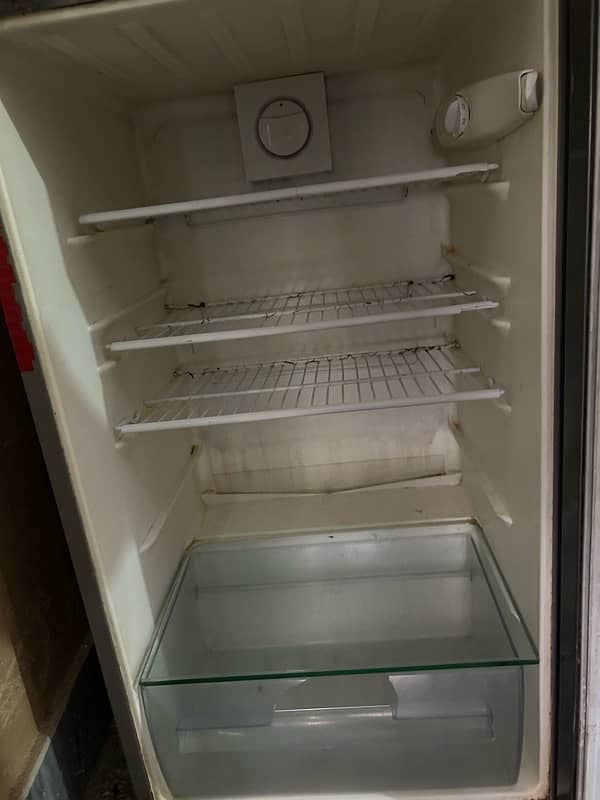 Electrolux fridge 6