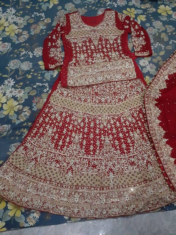 Baraat, Valima dress & jewlery medium size 2