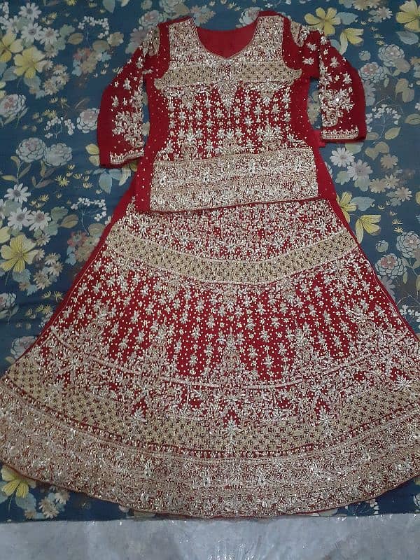 Baraat, Valima dress & jewlery medium size 4