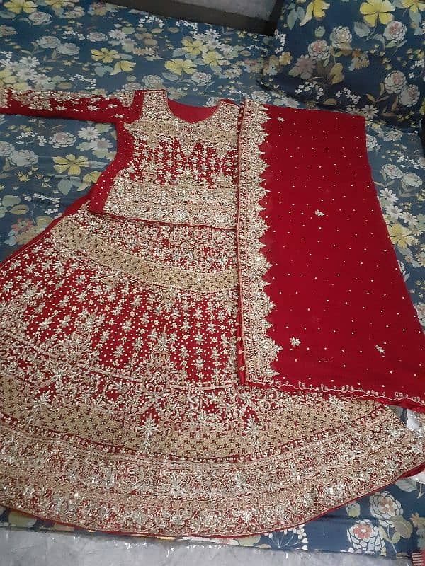 Baraat, Valima dress & jewlery medium size 5