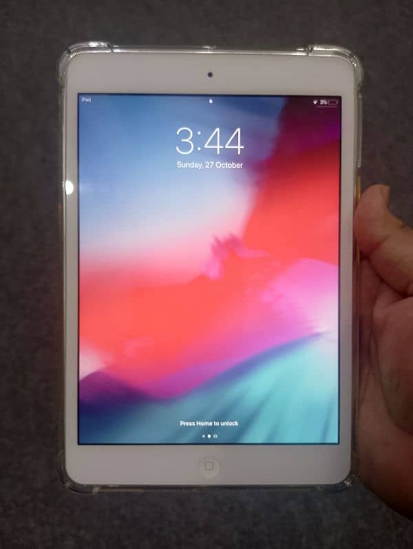 iPad Mini 2 0