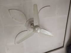 Urgent for sale 4 SK ceiling fans need for money