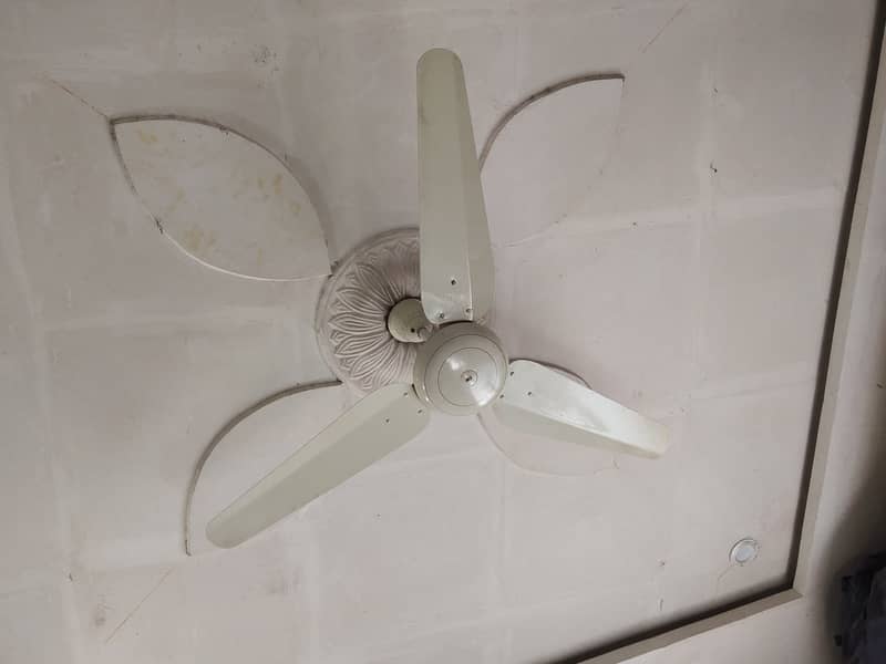 Urgent for sale 4 SK ceiling fans need for money 0