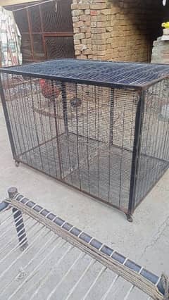 Hen's/ Parrots Colony Cage