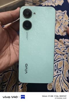 Vivo