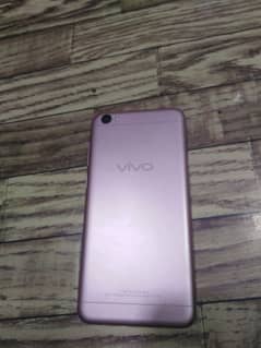 vivo