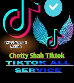 TikTok followers YouTube Instagram. . . . all. serves 0