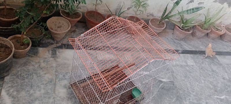 Cage for parrots good condition 0