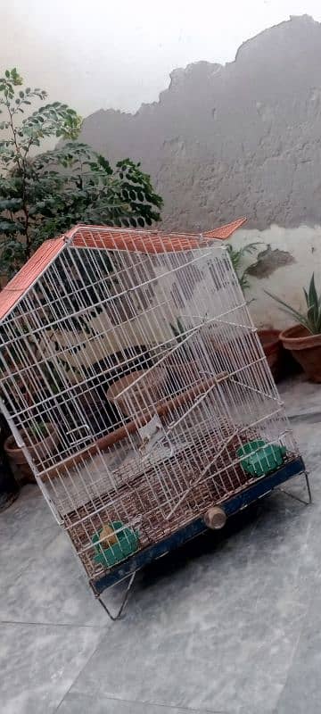 Cage for parrots good condition 1