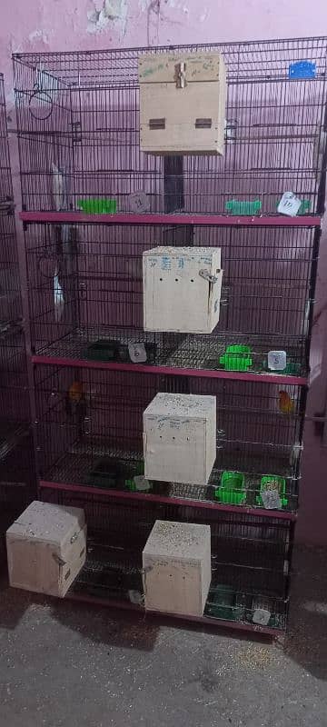 Cage for sale 1